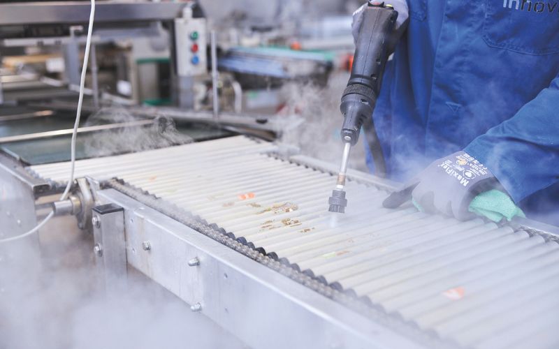 Tecnovap steam cleaning conveyor cleaning